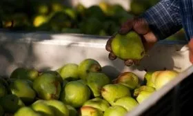 Сбор и хранение