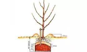 Способ посадки