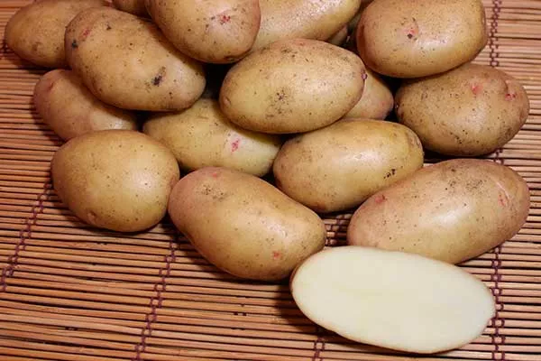 Урожайность