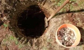 Выбор и подготовка участка