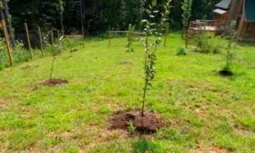 Выбор подходящего места