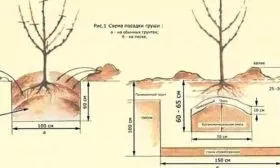 Высаживание