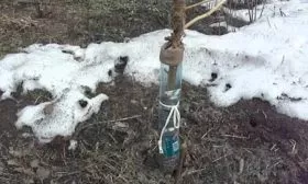 Защита от грызунов