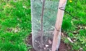 Защита от грызунов