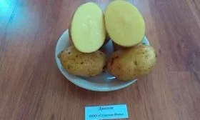 Применение