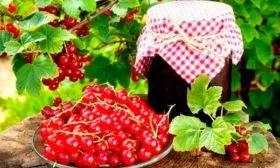 применение