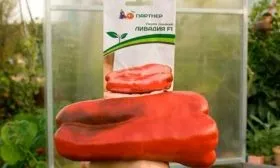 Характеристика гибрида и описание плодов