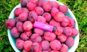 использование