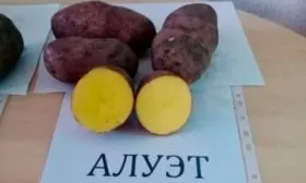 Вкусовые качества