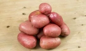 Палац описание