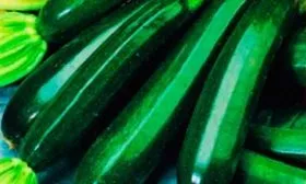 Характеристика внешнего вида растения и плодов