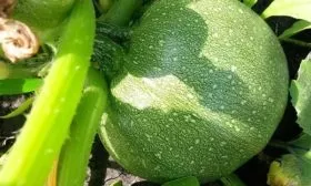 Назначение