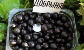 Характеристики