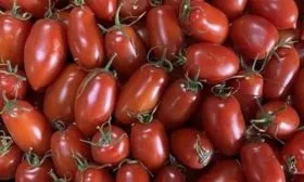 Кенигсберг черри_5