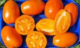 Кенигсберг Золотой_3