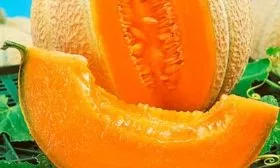 Вкус