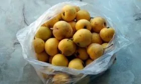 Сбор урожая