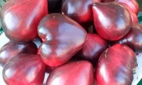 Морозоустойчивость