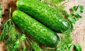 Огурец Пикник