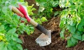 Окучивание