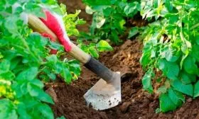 Окучивание