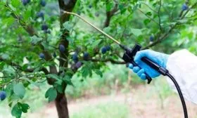 опрыскивание