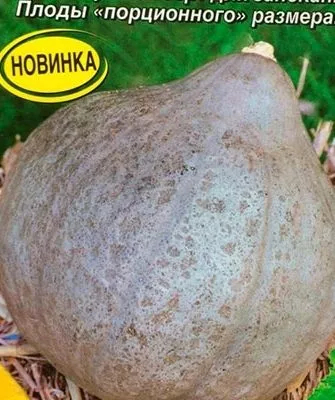 Описание