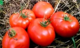 Подснежник (Ассоциация Биотехника)