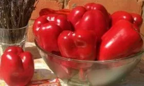 Полезные свойства плодов