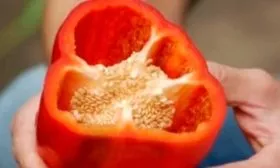 Положительные и отрицательные качества