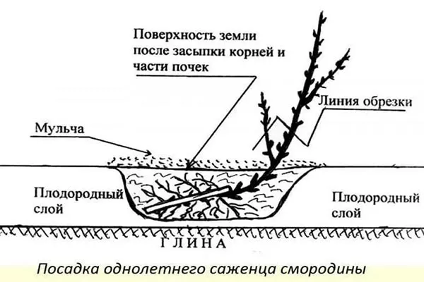 посадка