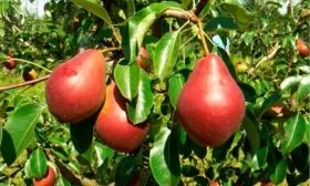 Продуктивность