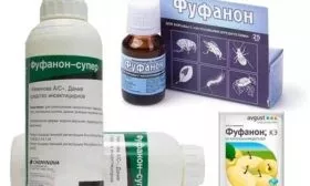 Профилактика и защита от вредителей и болезней