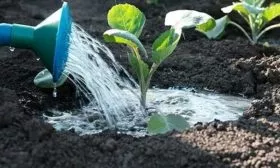 Режим полива