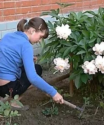 Рыхление и мульчирование