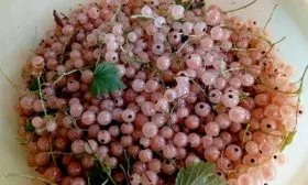 Сбор и хранение