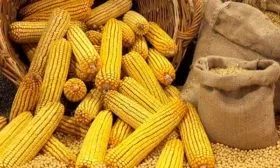 Сбор и хранение урожая