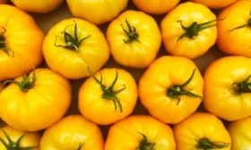 сбор урожая