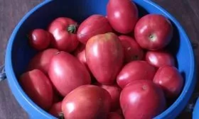 сбор урожая