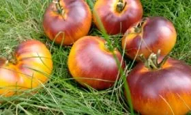 Сержант Пеппер бронзовый