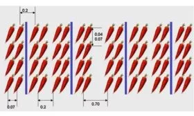 Сроки, схема и правила посадки