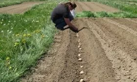 Технология посадки