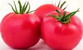 Томат Пинк Парадайз