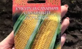 кукуруза