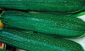 Урожайность