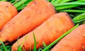 Урожайность