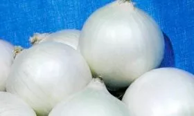 Устойчивость к заболеваниям и вредителям