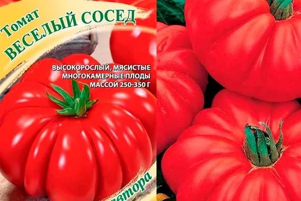 Весёлый сосед (Гавриш)