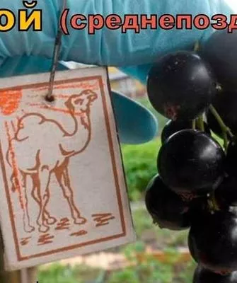 Урожайность