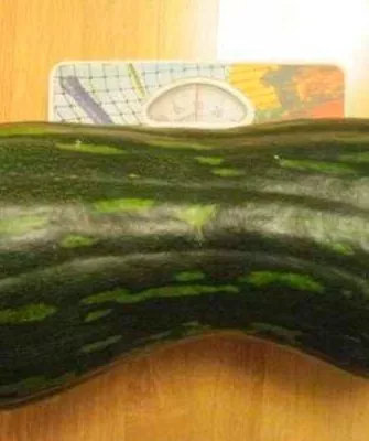 плюсы